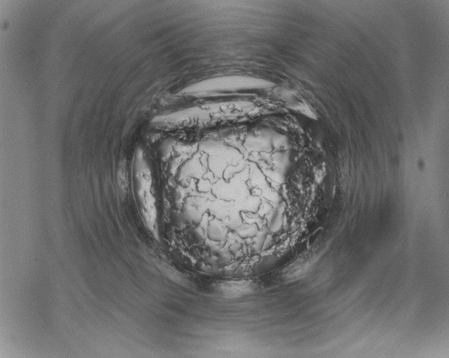 X0000068770085200605191659