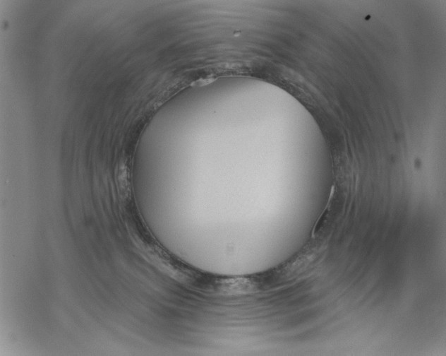 X0000068770087200605191659