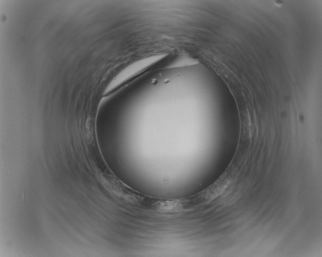 X0000068770088200605191659