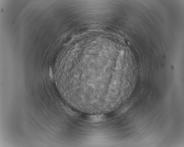 X0000068770089200605191659