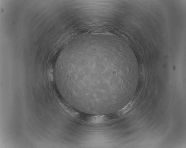 X0000068770090200605191659