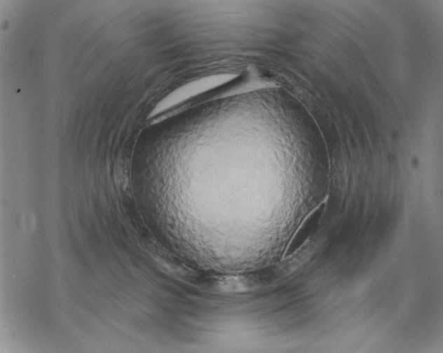 X0000068770091200605191659