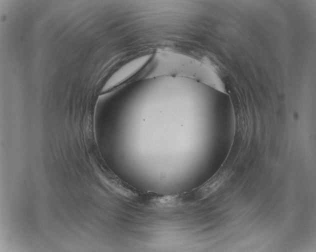 X0000068770092200605191659