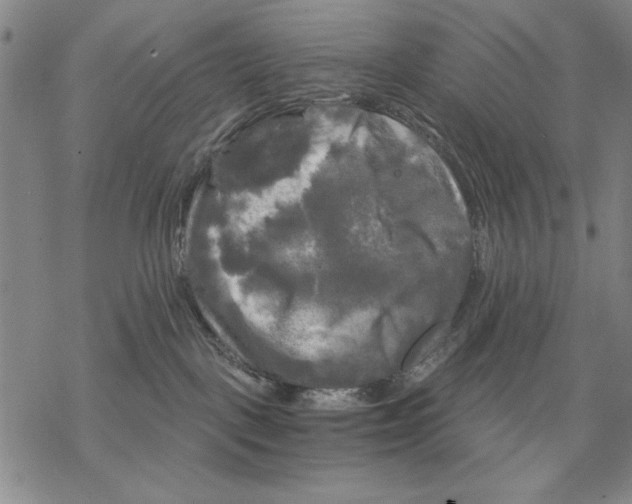 X0000068770093200605191659