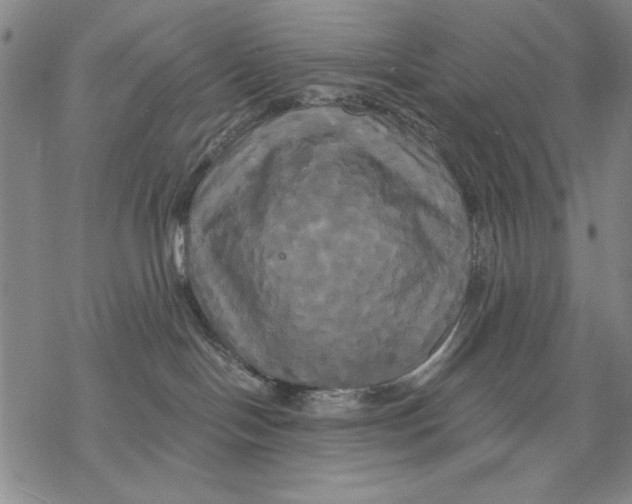 X0000068770094200605191659