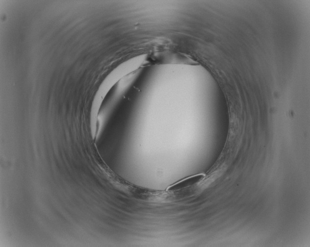 X0000068770096200605191659