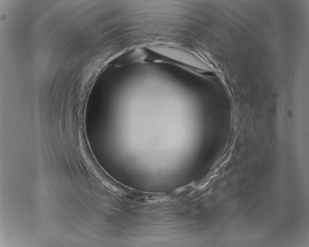 X0000068770097200605191658