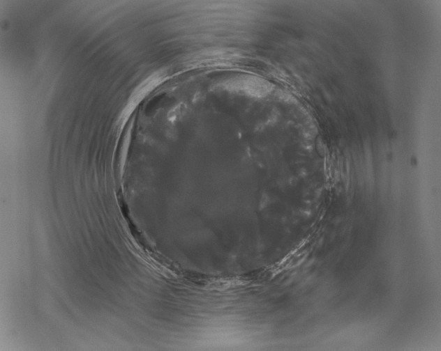 X0000068770099200605191658