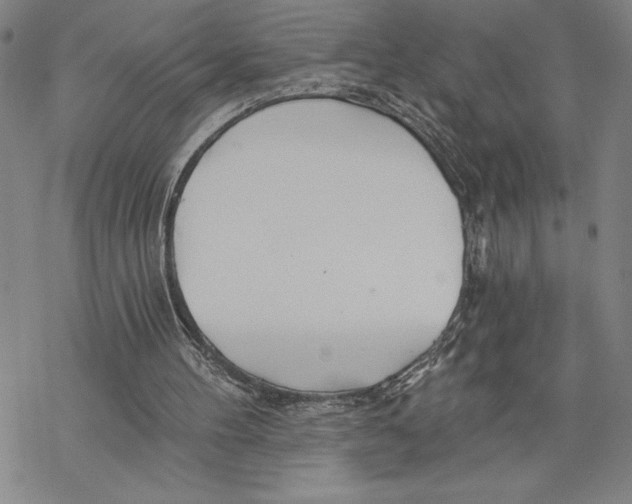 X0000068770100200605191658