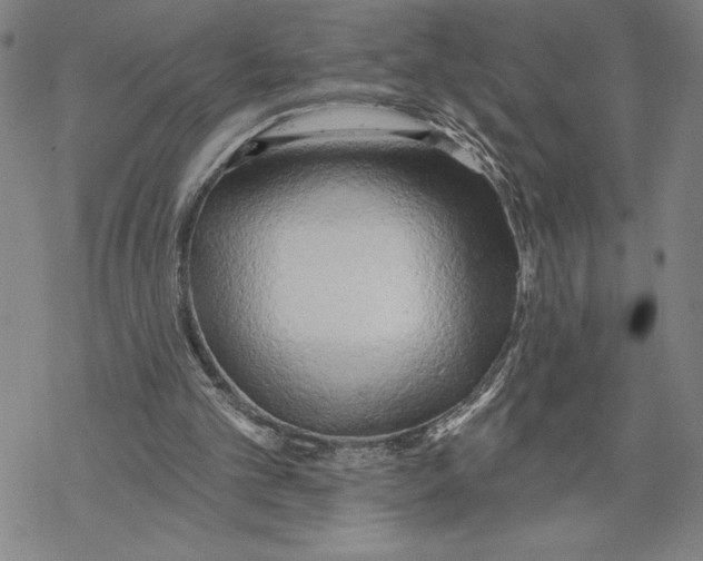 X0000068770101200605191658