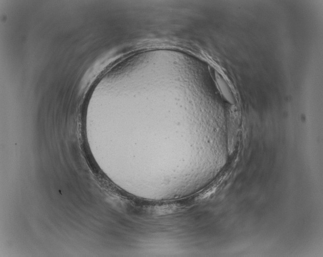 X0000068770103200605191658