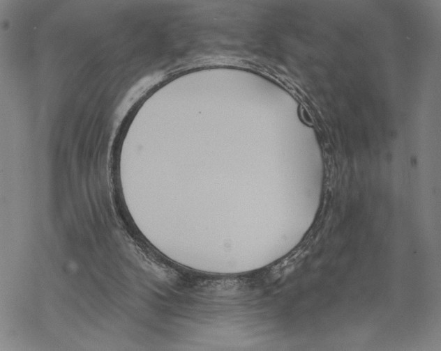 X0000068770104200605191658