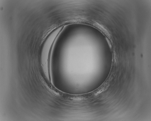 X0000068770105200605191658