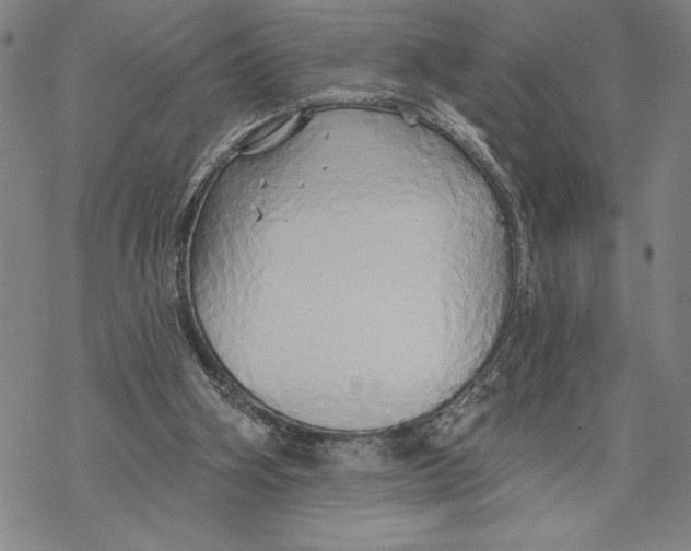 X0000068770106200605191658