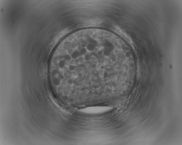 X0000068770107200605191658