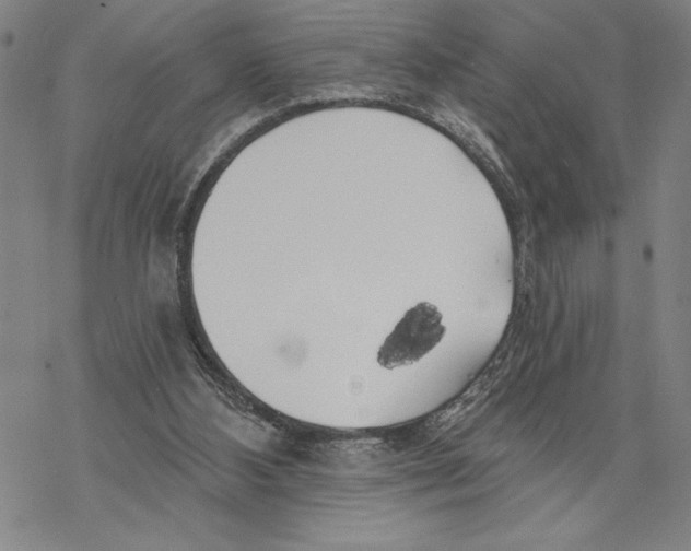 X0000068770108200605191658