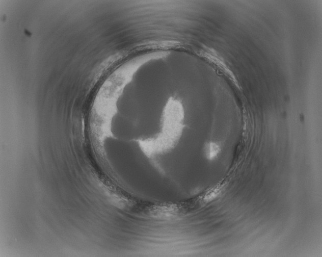 X0000068770110200605191658