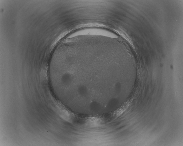 X0000068770111200605191658