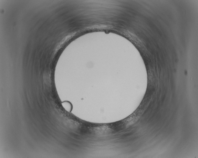 X0000068770112200605191658