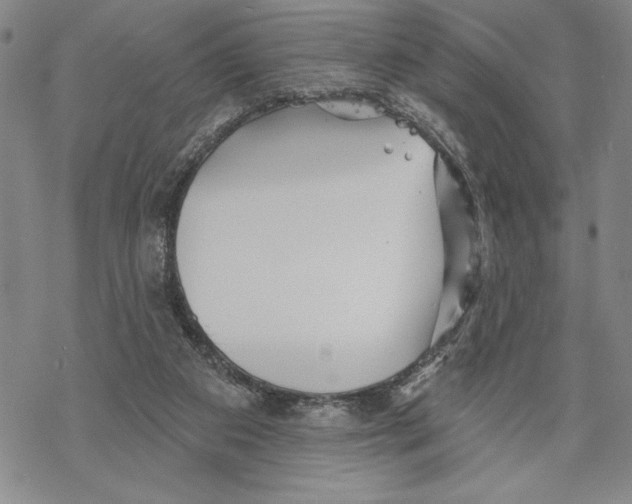 X0000068770113200605191658