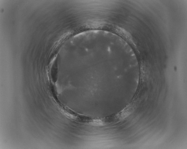 X0000068770114200605191658