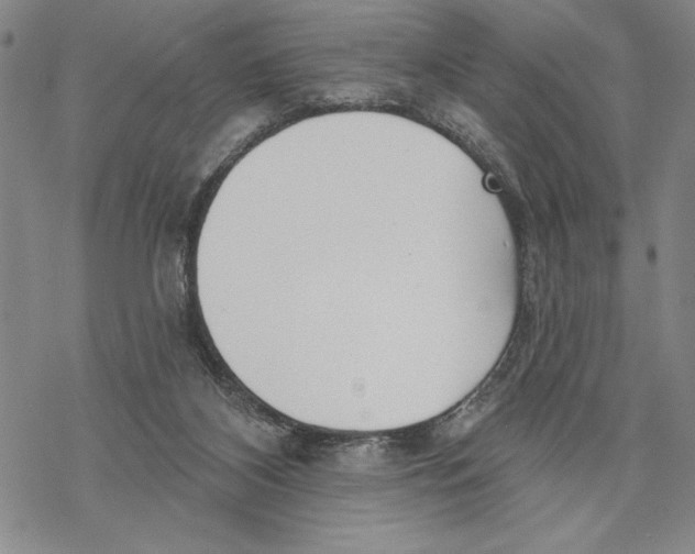 X0000068770116200605191658