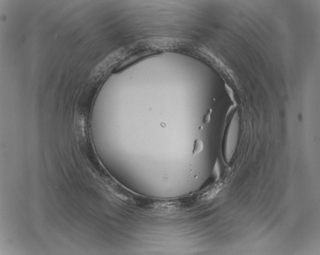 X0000068770117200605191658