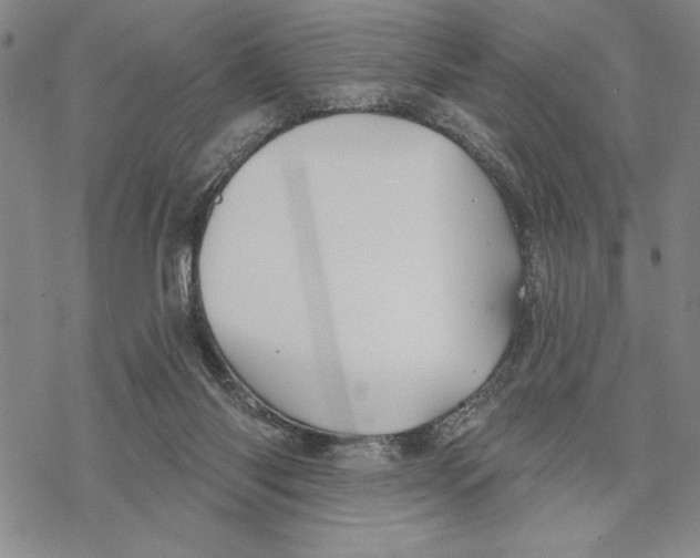 X0000068770118200605191658