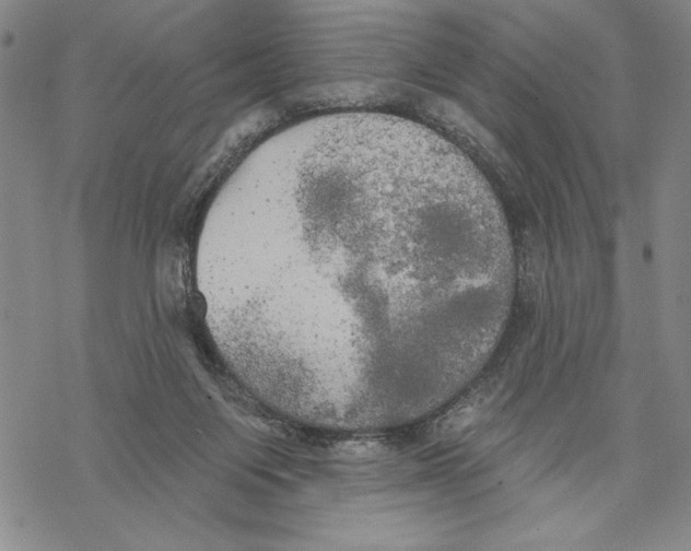 X0000068770119200605191658