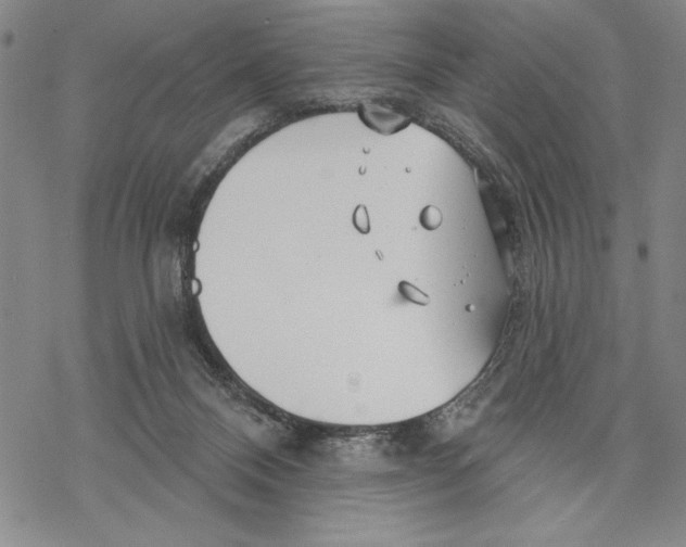 X0000068770120200605191658