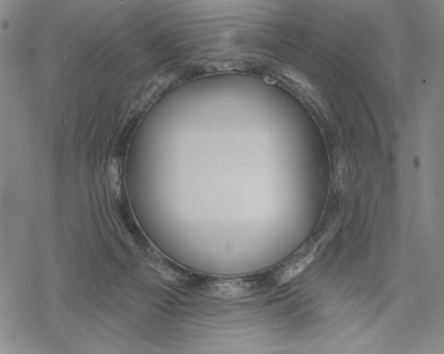 X0000068770121200605191658