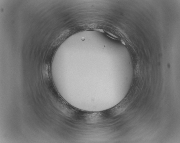 X0000068770122200605191658