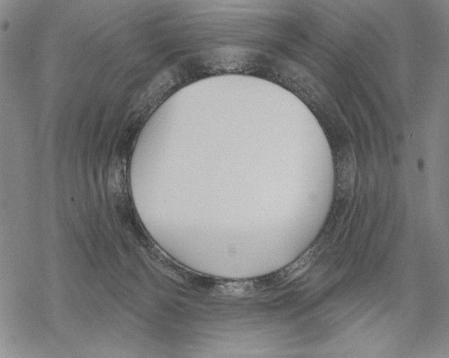 X0000068770126200605191658