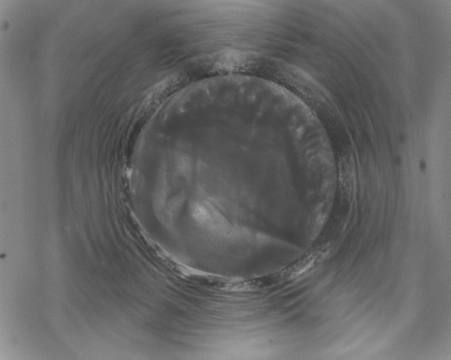 X0000068770127200605191658