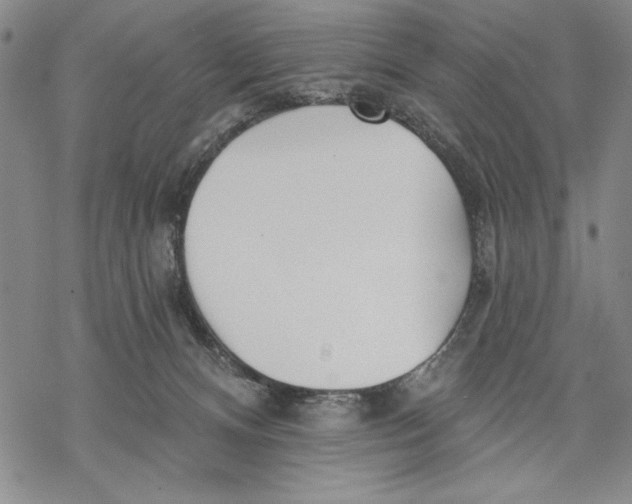 X0000068770128200605191658