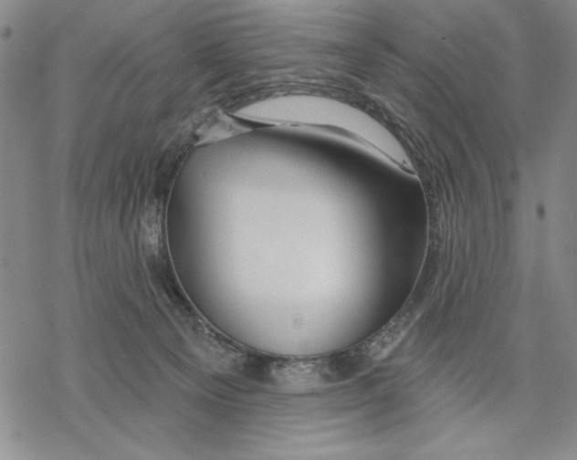 X0000068770129200605191657