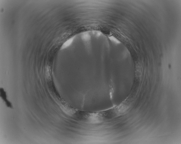 X0000068770130200605191657