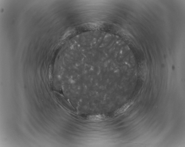 X0000068770131200605191657