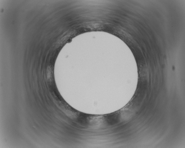 X0000068770132200605191657