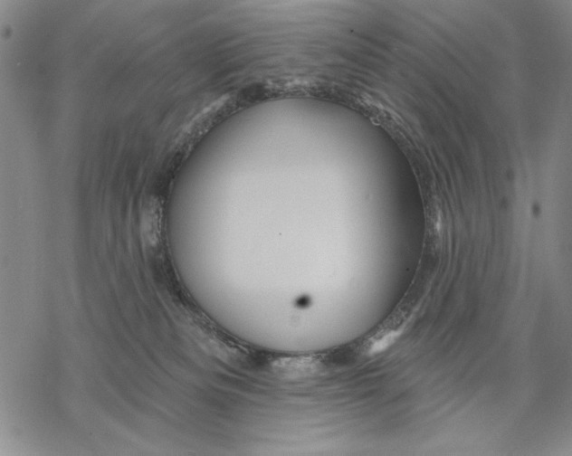 X0000068770133200605191657