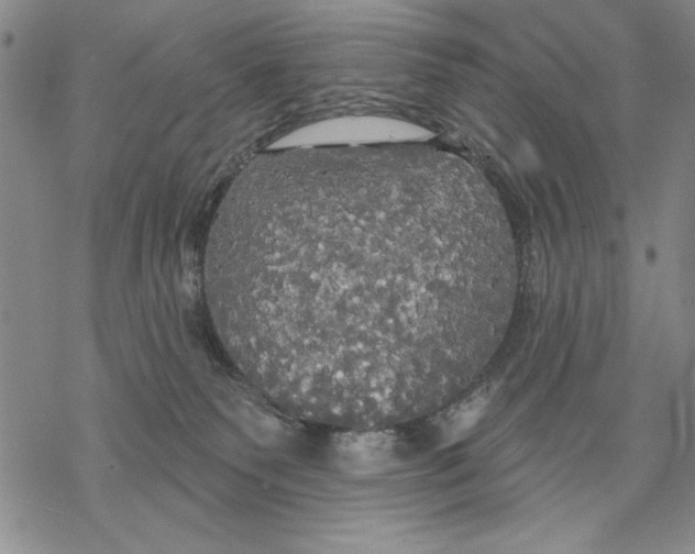 X0000068770135200605191657