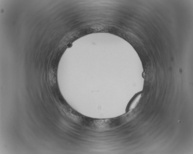 X0000068770136200605191657