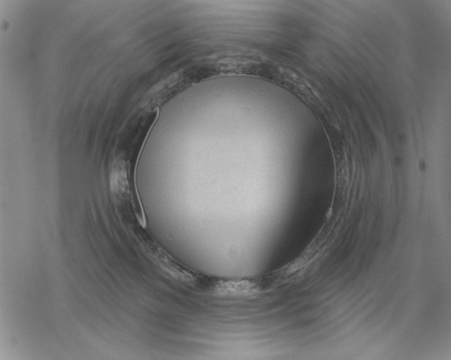 X0000068770137200605191657