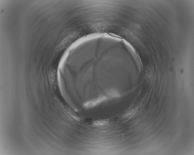 X0000068770139200605191657