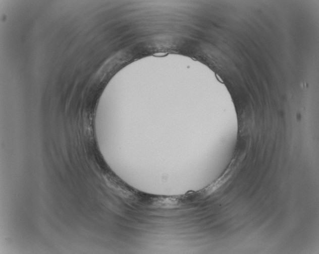 X0000068770140200605191657