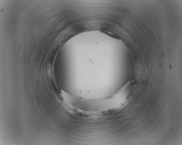 X0000068770141200605191657