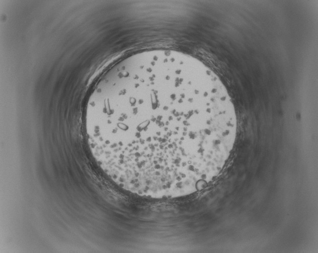 X0000068770146200605191657