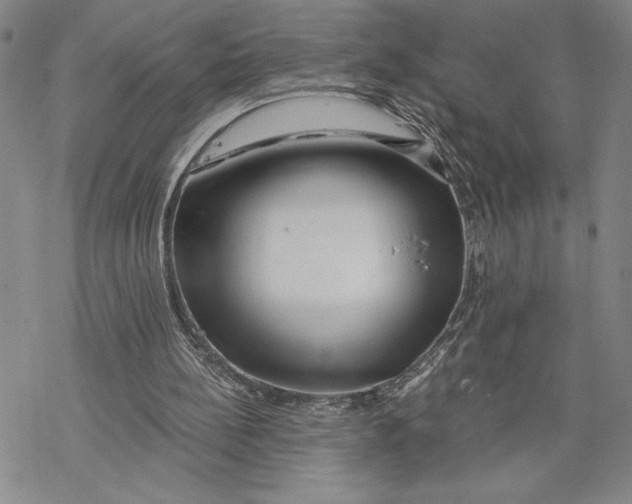 X0000068770148200605191657