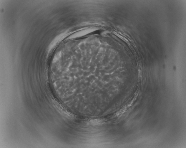 X0000068770149200605191657