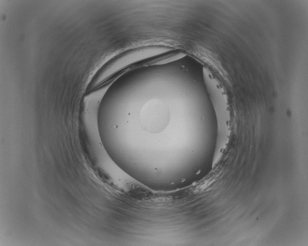 X0000068770156200605191657